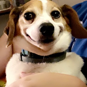 Fundraising Page: Ashley Paige